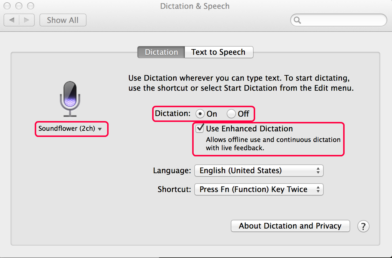 Dictation speech to text settings]